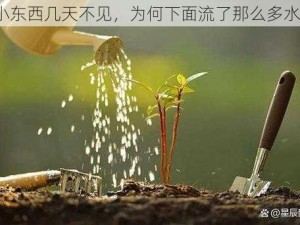 小东西几天不见，为何下面流了那么多水？