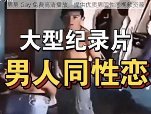 男男 Gay 免费高清播放，提供优质男同性恋视频资源