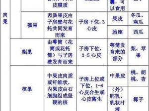 j啊vascript 的成熟分类及其产品介绍