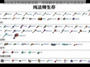 泰拉瑞亚狗哨获取攻略：详细解析获取方法与使用技巧