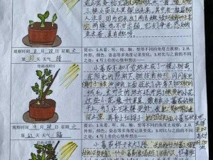 成长的秘密：毛毛葆葆观察记录，为何-如何-怎样做到？