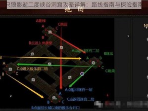 只狼影逝二度峡谷洞窟攻略详解：路线指南与探险指南