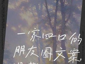 一家四口混乱的关系文案——错综复杂的亲情关系，尽在[产品名称]中展现