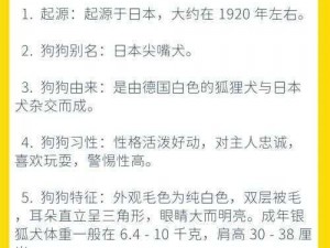 阴阳师银狐犬馈赠揭秘：如何获取特殊礼物与珍贵道具？银狐犬馈赠开箱探秘之旅