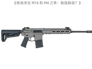 《绝地求生 M16 和 M4 之争：孰强孰弱？》