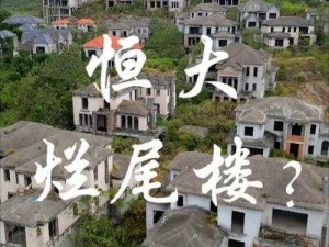 在别墅轮换游戏 2 中，如何避免烂尾楼风险？