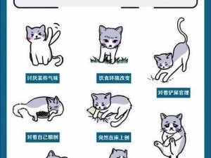 企鹅侦探猫咪的无间道：猫咪的秘密任务图文攻略解析