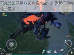 不完美犯罪第17关攻略大全：步骤解析助你轻松通关