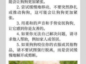 我家狗狗卡在我身体里痛怎么办？应该如何应对？