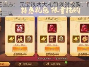 少年三国志：元宝银两大礼包限时抢购，助力玩家称霸三国