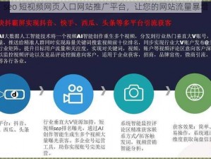 seo 短视频网页入口网站推广平台，让您的网站流量暴增