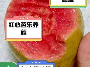 芭乐app、请详细介绍芭乐 app 的功能及使用方法，包括但不限于视频播放、社交互动等方面