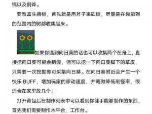 《泰拉瑞亚游戏攻略：从入门到精通的实用技巧分享》