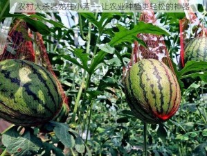 农村大杀器龙柱小芳——让农业种植更轻松的神器