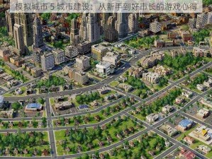 模拟城市 5 城市建设：从新手到好市长的游戏心得