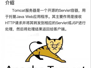 tom 地域网名入口 github——高效便捷的网络工具