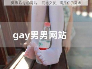 男男 Gay 的网站——同志交友，满足你的需求