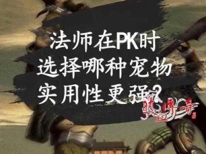 《热血传奇手机版法师 PK 攻略：实用技巧分享，助你称霸战场》