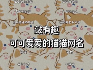 猫咪 MV 最新地域网名怎么改？猫咪 MV 最新地域网名修改神器，一键修改，轻松换名