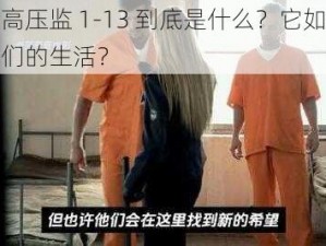 美国高压监 1-13 到底是什么？它如何影响我们的生活？