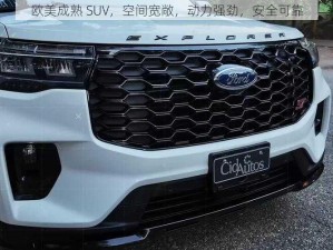 欧美成熟 SUV，空间宽敞，动力强劲，安全可靠