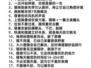 猫咪爱好者必看：汤设施升级顺序推荐，打造温馨舒适的爱猫环境