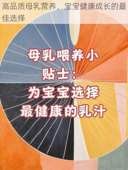 高品质母乳营养，宝宝健康成长的最佳选择