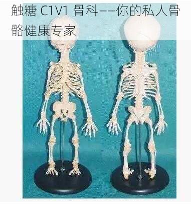 触糖 C1V1 骨科——你的私人骨骼健康专家