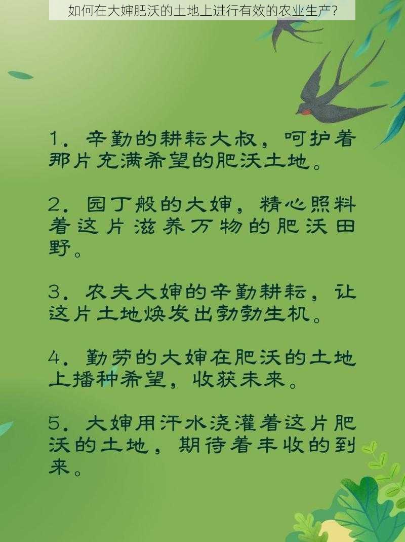 如何在大婶肥沃的土地上进行有效的农业生产？