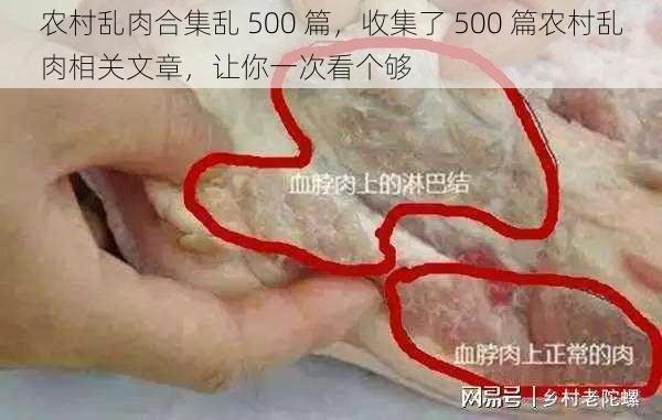 农村乱肉合集乱 500 篇，收集了 500 篇农村乱肉相关文章，让你一次看个够