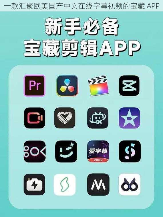 一款汇聚欧美国产中文在线字幕视频的宝藏 APP