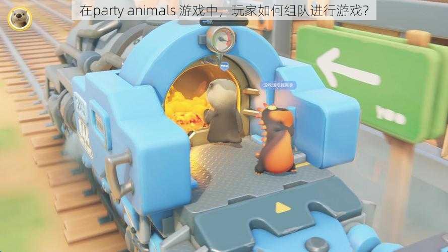 在party animals 游戏中，玩家如何组队进行游戏？