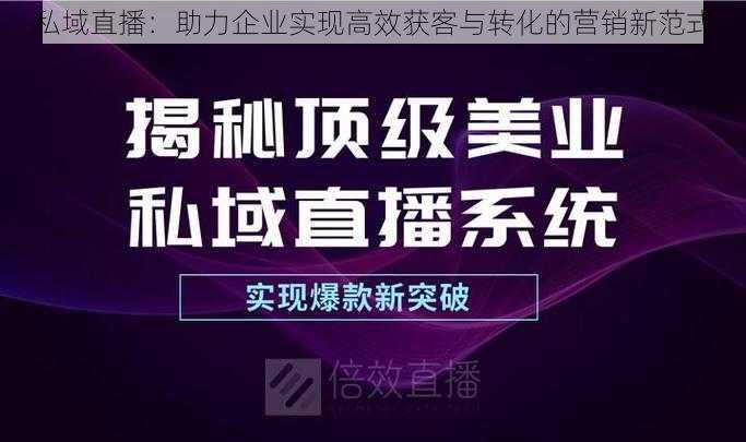 私域直播：助力企业实现高效获客与转化的营销新范式