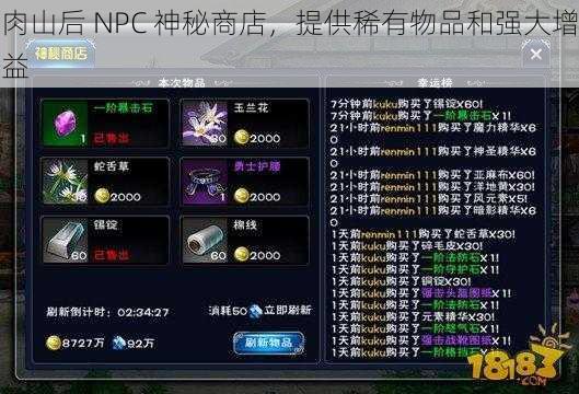 肉山后 NPC 神秘商店，提供稀有物品和强大增益