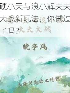 硬小天与浪小辉夫夫大战新玩法，你试过了吗？