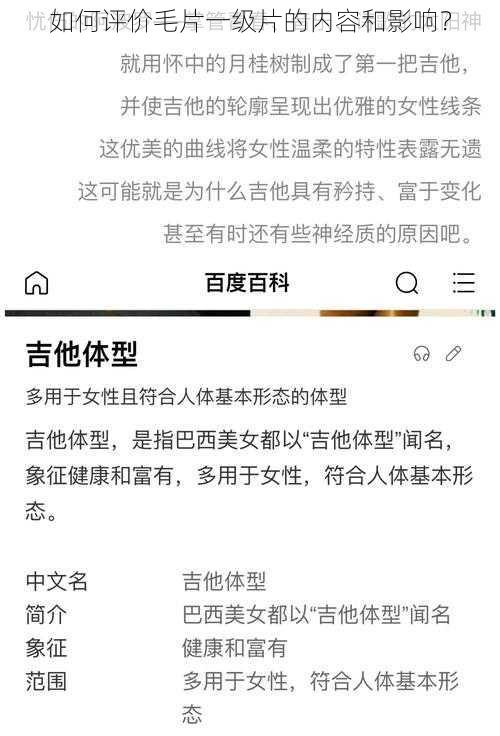 如何评价毛片一级片的内容和影响？