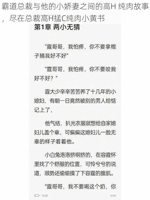 霸道总裁与他的小娇妻之间的高H 纯肉故事，尽在总裁高H掹C纯肉小黄书