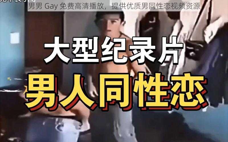 男男 Gay 免费高清播放，提供优质男同性恋视频资源