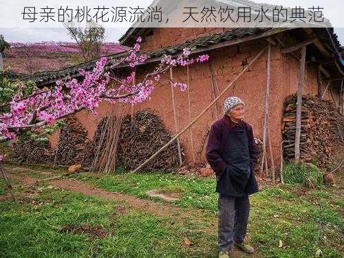 母亲的桃花源流淌，天然饮用水的典范