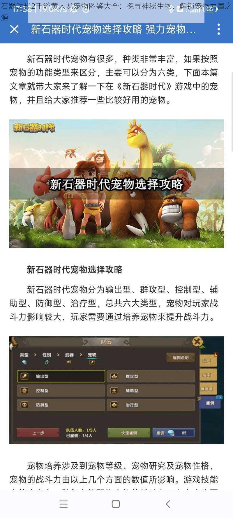 石器时代2手游黄人龙宠物图鉴大全：探寻神秘生物，解锁宠物力量之源