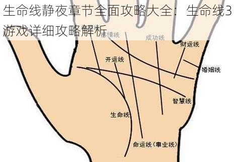 生命线静夜章节全面攻略大全：生命线3游戏详细攻略解析