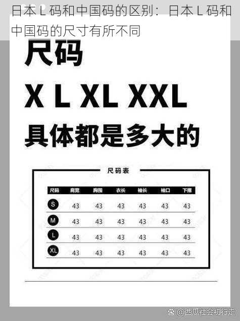 日本 L 码和中国码的区别：日本 L 码和中国码的尺寸有所不同