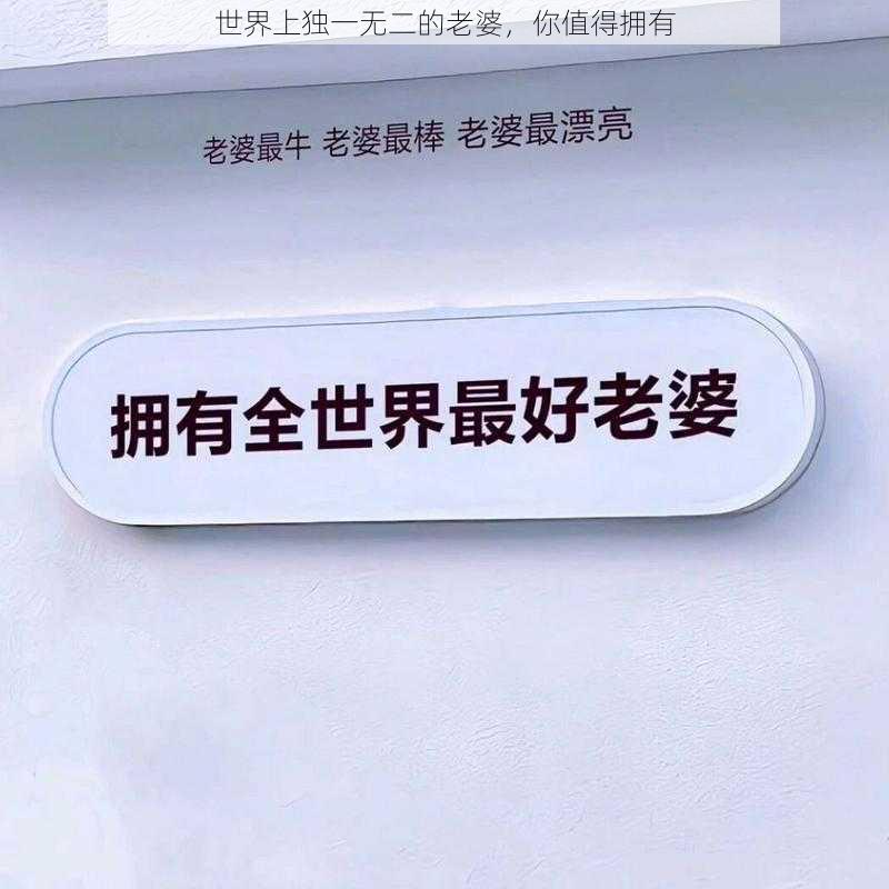 世界上独一无二的老婆，你值得拥有