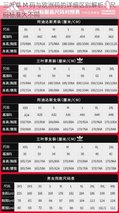 三叶草 M 码与欧洲码的详细区别解析：尺码标准大不同