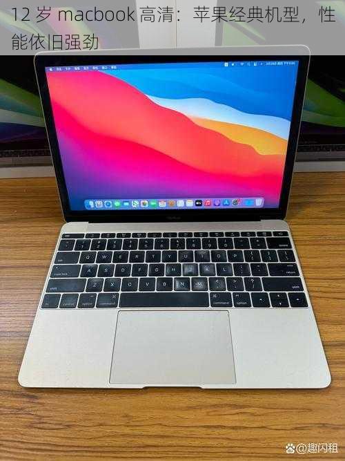 12 岁 macbook 高清：苹果经典机型，性能依旧强劲