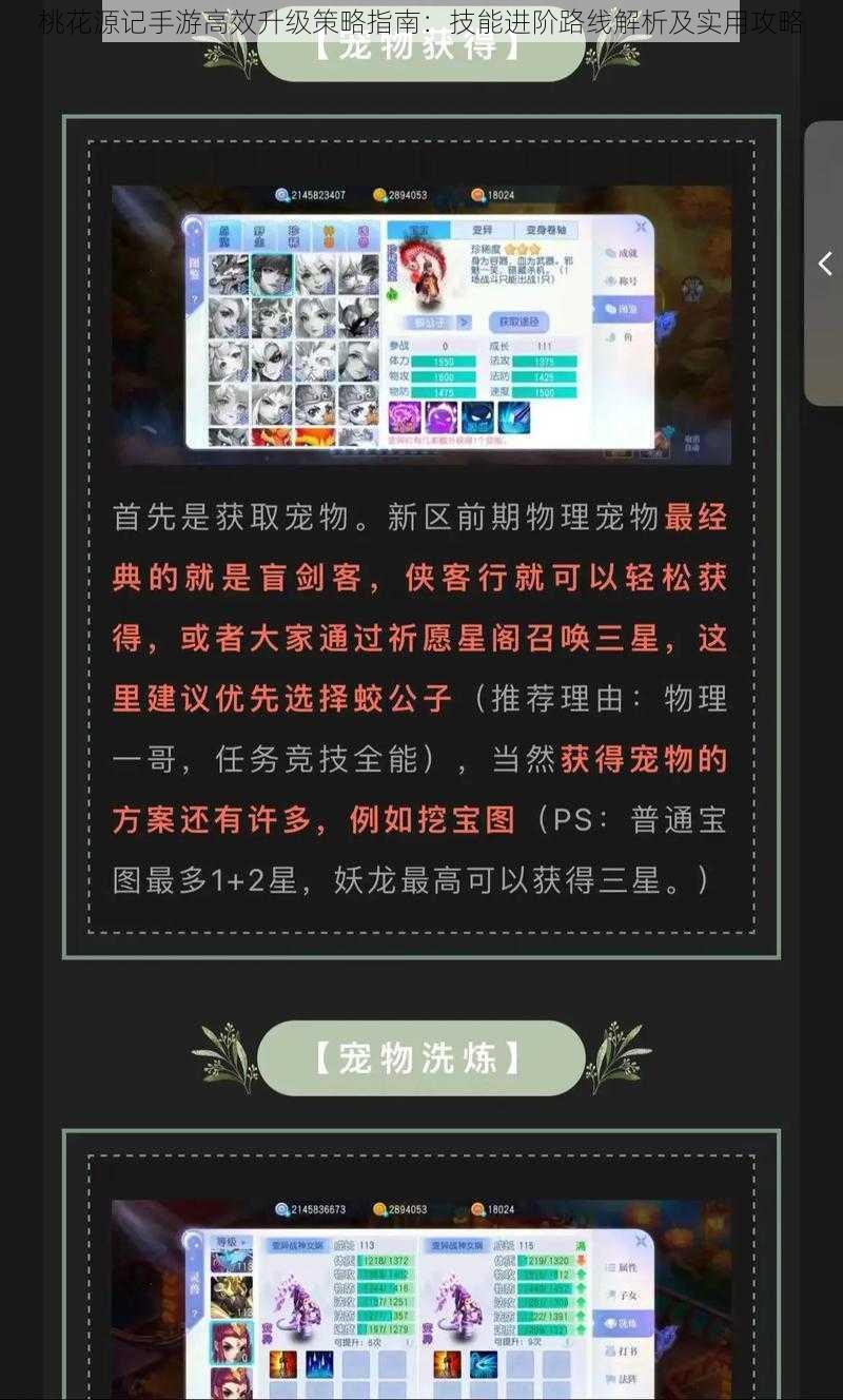 桃花源记手游高效升级策略指南：技能进阶路线解析及实用攻略