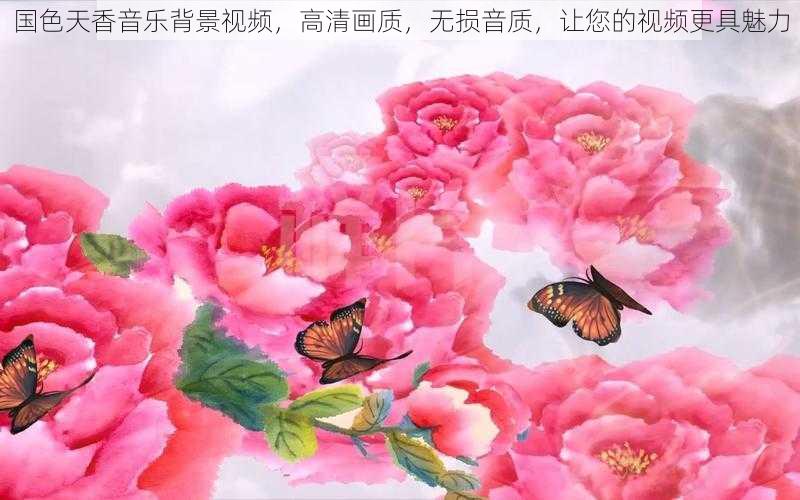 国色天香音乐背景视频，高清画质，无损音质，让您的视频更具魅力