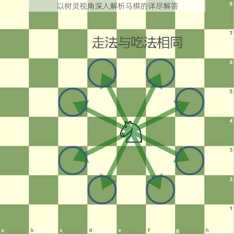 以树灵视角深入解析马棋的详尽解答