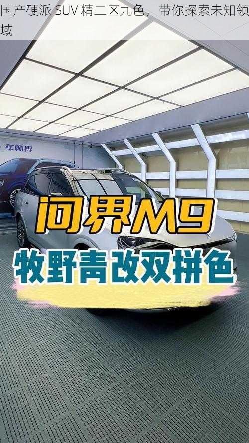 国产硬派 SUV 精二区九色，带你探索未知领域