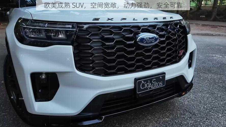 欧美成熟 SUV，空间宽敞，动力强劲，安全可靠